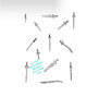 (Teeth Whitening) National Tattoo Day  *promotions*