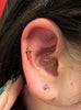 (Piercings) Fit To Recover Fundraiser  *promotions*